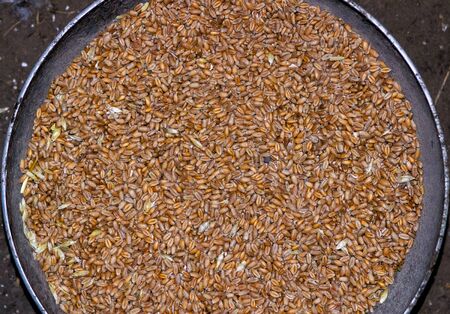 Texture background of oats. Background of oats. The view from the top. Oats close upの写真素材