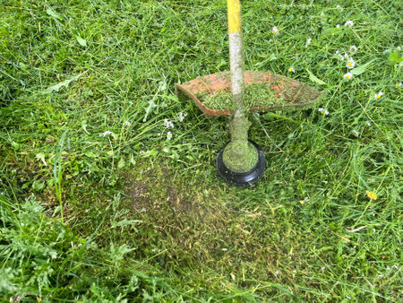 Summer mowing of grass with a lawn mower