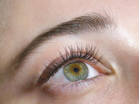 The procedure of classical eyelash extension. Beautiful female eyes close-up with long eyelashes