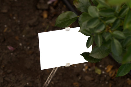 White sheet of paper in green leaves mockupの写真素材