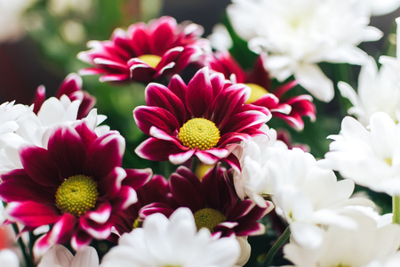 Bouquet of flowers beautiful backgroundの写真素材