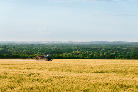Spraying fertilizer fields with wheatの写真素材