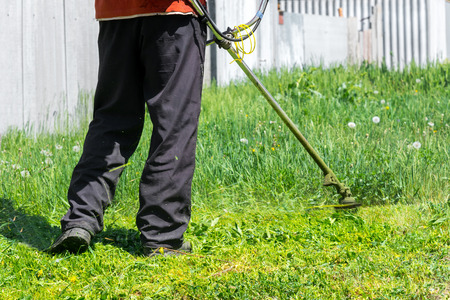 Grass cutting on the backyard
