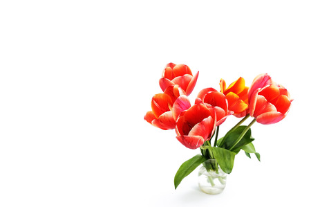 Tulips on white background. Bouquet red tulips in a glass jar. Isolated.