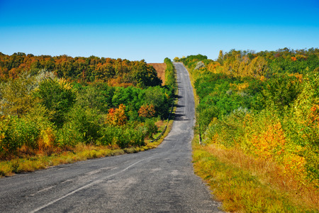 Road ravine autumn season. Beautiful road area sunny day