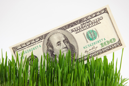 Banknote in a grass. Cultivation of money. Business on agriculture.の写真素材