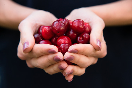 Fresh fruit red cherry in woman hand, close upの写真素材