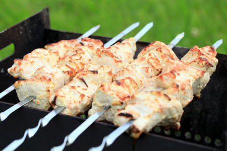 Meat skewers on grill. Background green grass. Tasty.の写真素材