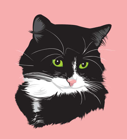 Portrait of a black cat with green eyesのイラスト素材