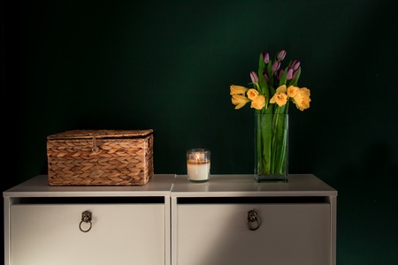 yellow daffodil flowers with pupple tulip blooming in vase with green wall.の写真素材