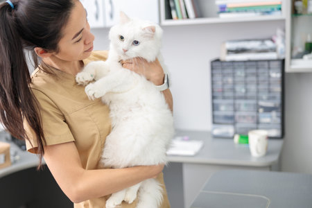 confident asian doctor hugs a cat in modern veterinary clinic