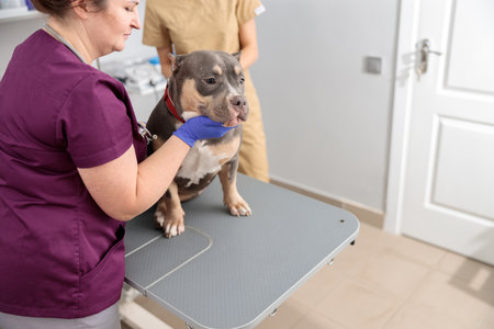 confident doctors are doing medical treatment in modern veterinary clinic
