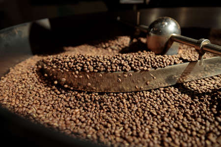 Coffee processing. Roastery, roasting machine and fresh beans