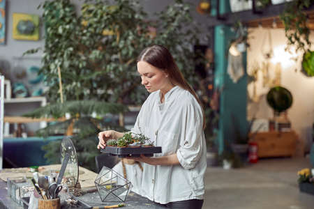 Flourist shop with different kinds of dryed flowers