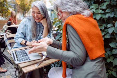 Joyful mature women use laptop sitting at table on outdoors cafe terraceの写真素材
