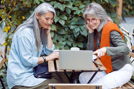 Grey haired lady with Asian friend surf internet on laptop on outdoors cafe terraceの写真素材