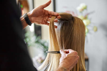 Confident male stylist is dyeing hair of blond caucasian female clientの写真素材