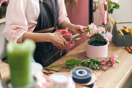 Professional florist young woman is doing bouquets at flower shopの写真素材