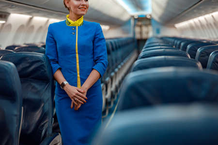Smiling flight attendant standing in aircraft passenger cabinの写真素材