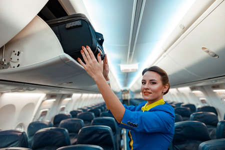 Stewardess putting travel bag in overhead luggage bin in aircraft