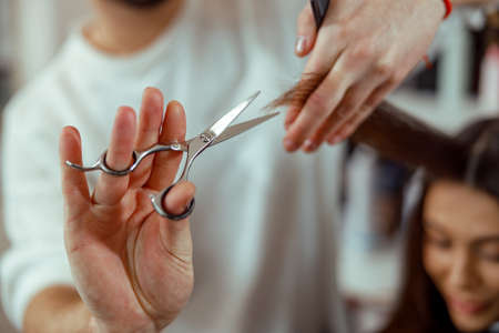 Close up of hairdresser hands holding a hair strand while cutting hair of female clientの写真素材