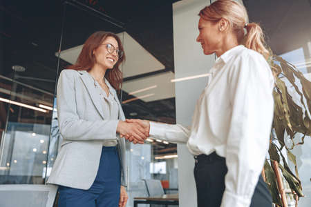 two confident businesswoman are handshaking before meeting in modern officeの写真素材