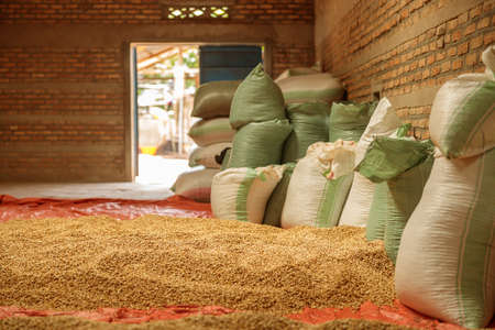 Bags used in the production of coffee at farm in Africaの写真素材