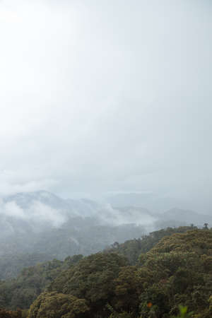 White fog over rainforest during fresh morning with mountain in Africaの写真素材