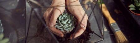 Young happy caucasian kid girl is holding a plant in her hands at botanic storeの写真素材