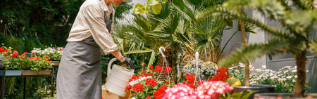 Professional woman gardener wearing apron taking care of plant watering it in floral shopの写真素材