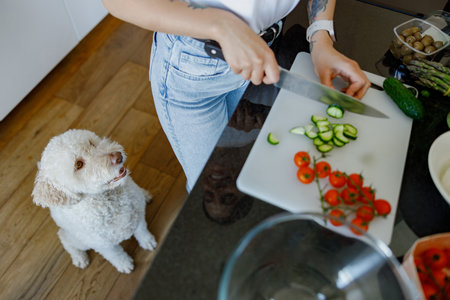 Cooking with a Dog Your Adorable and Friendly Kitchen Companion for Culinary Adventures