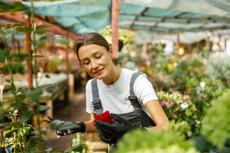 A passionate gardening enthusiast is cultivating an array of vibrant flowers at a lush local marketの写真素材