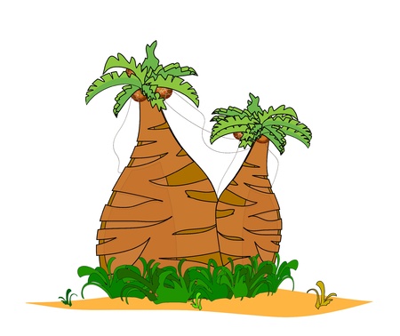  tropical palm trees isolated on white background vectorのイラスト素材