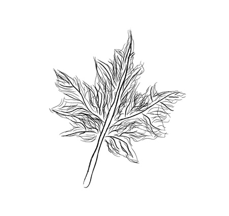 abstract autumn leaf background のイラスト素材