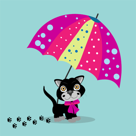 Cat in umbrellaのイラスト素材