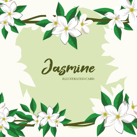 Vector jasmine flowers horizontal banner. Design for tea, natural cosmetics, beauty store, health care products, perfume, essential oil, aromatherapy. Can be used as greeting card, wedding invitationのイラスト素材