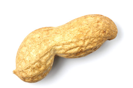 Inshell peanut on a white background close-up.