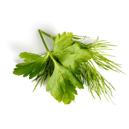 Branch of green parsley and dill on a white background close-up, flat lay, top view.の写真素材