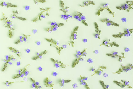 Flower composition. Pattern of blue flowers and sprigs of greenery on a pale green pastel...