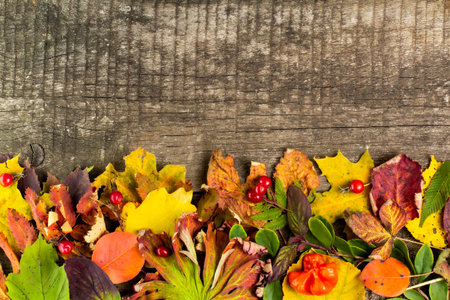 Autumn composition. Frame made of bright autumn leaves, berries and branches on a rustic background,...