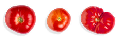A set of tomatoes of different shapes and colors, close-up, isolate on white.の写真素材