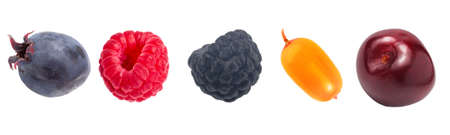 A set of sweet multi-colored forest berries, close-up on white, border.の写真素材