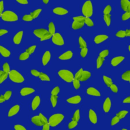 Seamless pattern, leaves and sprigs of mint on a dark blue background. Top view, flat lay.