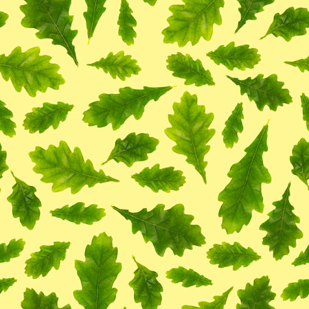 Seamless pattern. Composition of oak leaves of different size on a light yellow background, isolate,...