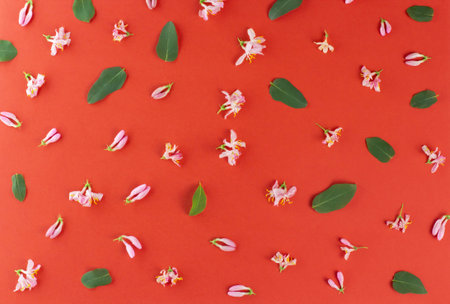 Flower composition. Delicate pink flowers and green leaves on a red background. Top view, flat lay,...