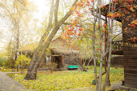 Autumn landscape in the courtyard of an old 19th century manor.の写真素材