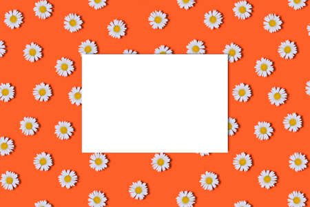 White business card mockup with daisy pattern on a red background. Top view, copy space.の写真素材