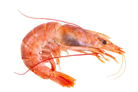 Large shrimp on a white background, isolate, top view.の写真素材