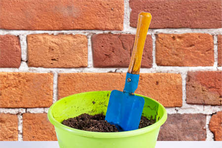 Flower pot with soil and spatula for home floriculture, brick backgroundの写真素材