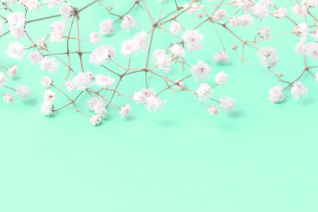Flower easter composition. Frame from branches and flowers of gypsophilia on a bright emerald background, top view, place for text, copyspace.の写真素材